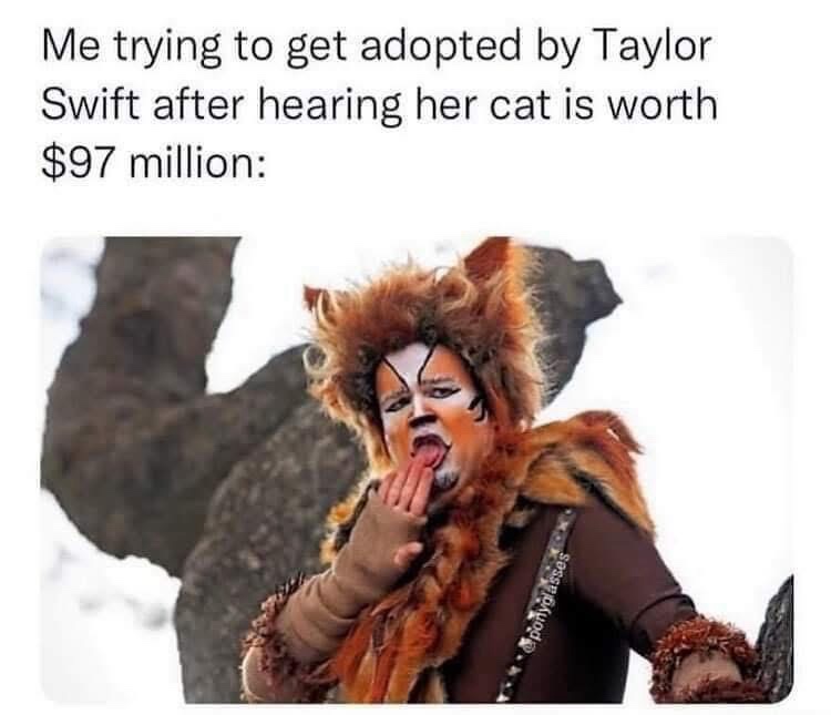 20 Memes That Have Absolutely No Plot but Endless Drama 17 Trying to get adopted by taylor swift