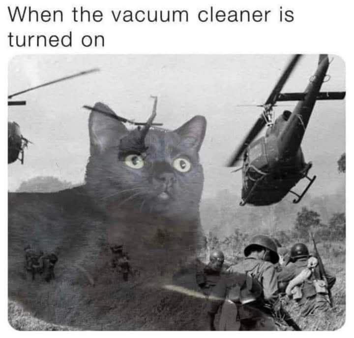 20 Memes That Are Funny and Wildly Random 14 Vaccum cleanr is turned on