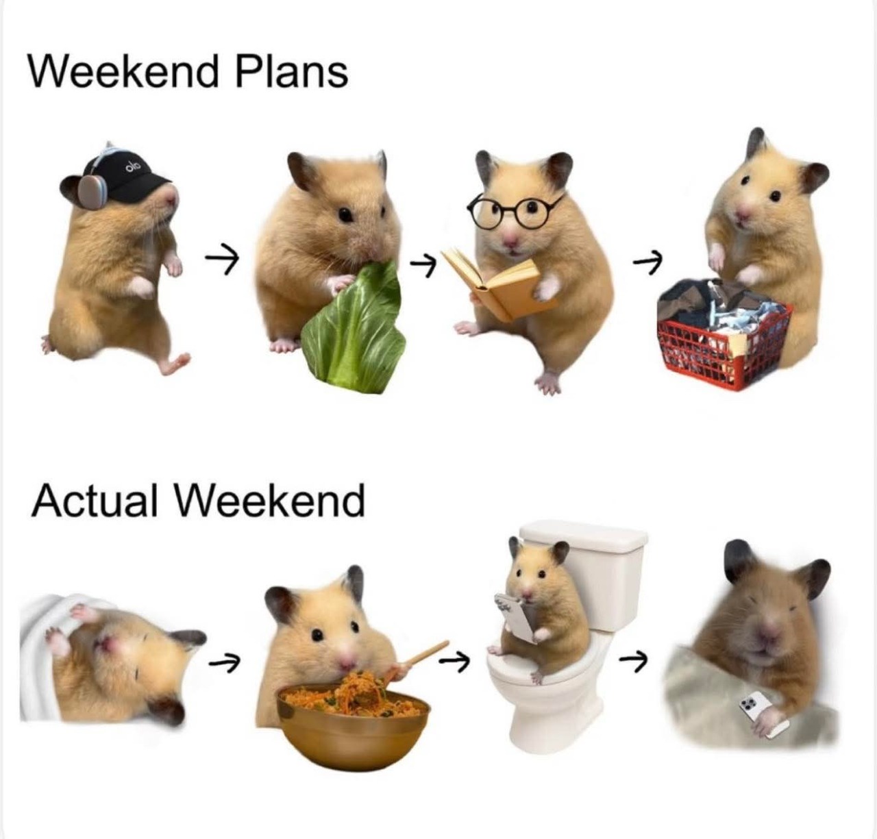 25 Dank Memes Your Moral Compass Won’t Survive 27 Weekend plans
