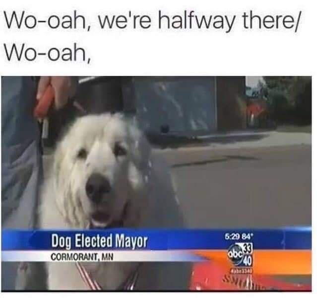 20 Memes That Are Funny and Wildly Random 16 Were half way there