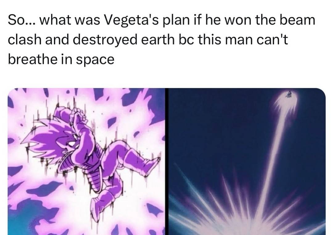 25 Dragon Ball Z Memes That Go Super Saiyan on Humor 23 What was vegetas plan