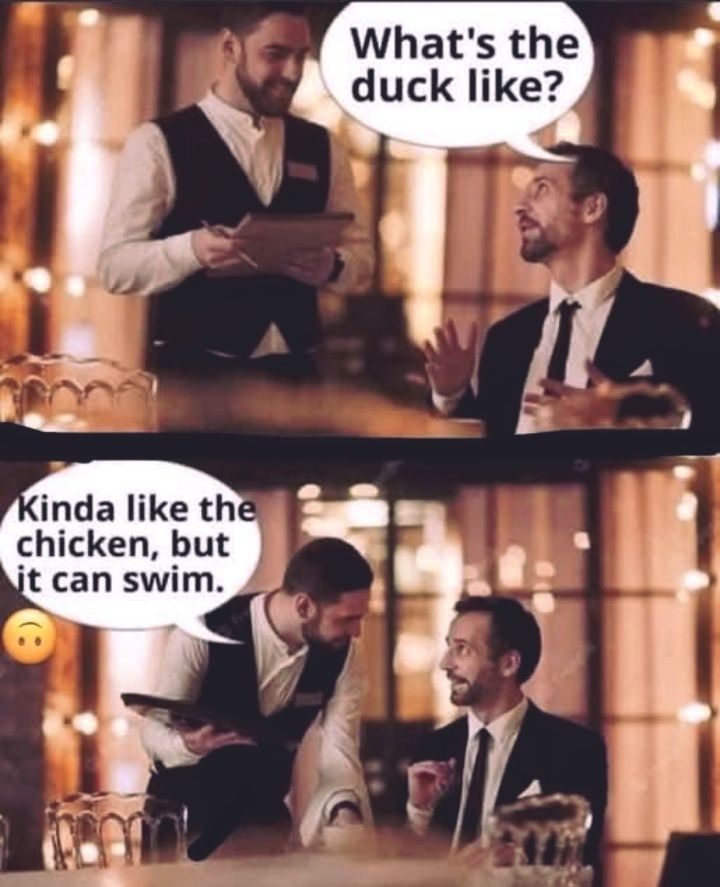 20 Memes That Defy Logic, Taste, and Conventional Humor 19 Whats the duck