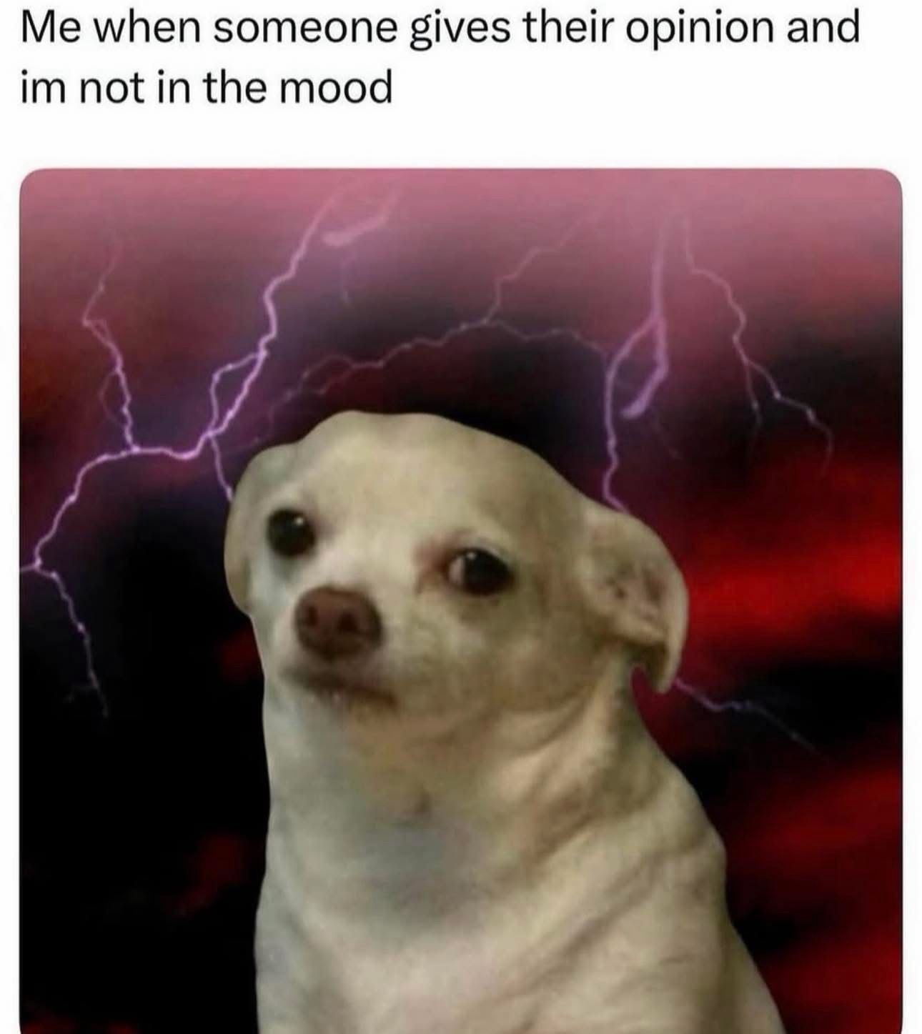 20 Memes That Have Absolutely No Plot but Endless Drama 18 When someone gives their opinion