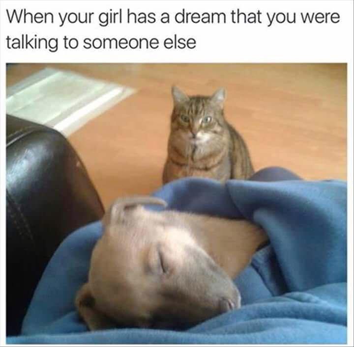 When your girl has a dream