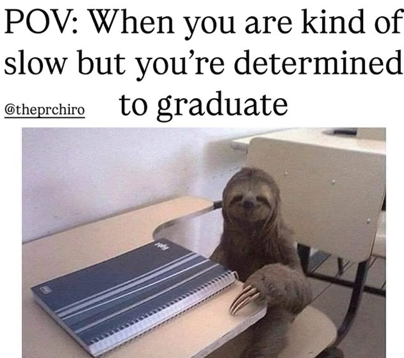 30 Sloth Memes to Help You Take It Slow on International Sloth Day 32 When youre slow