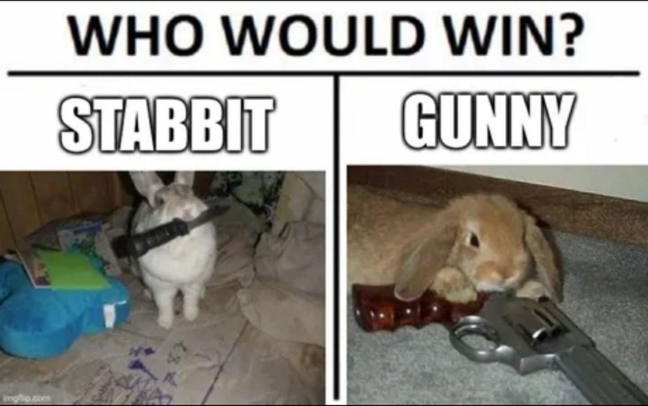 35 Animal Memes to Celebrate World Animal Day with a Laugh! 37 Who would win