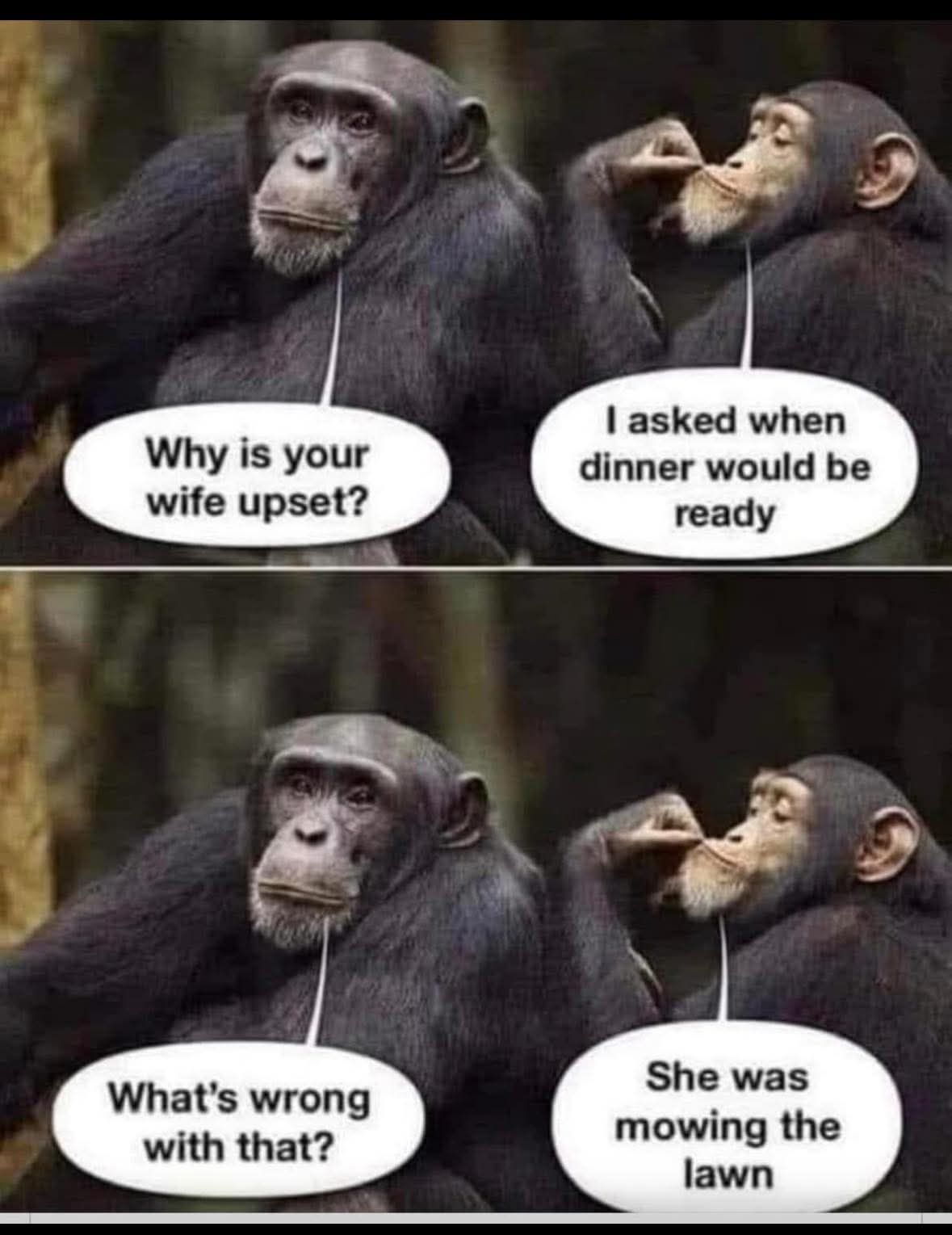 20 Memes That Defy Logic, Taste, and Conventional Humor 20 Why is your wife upset