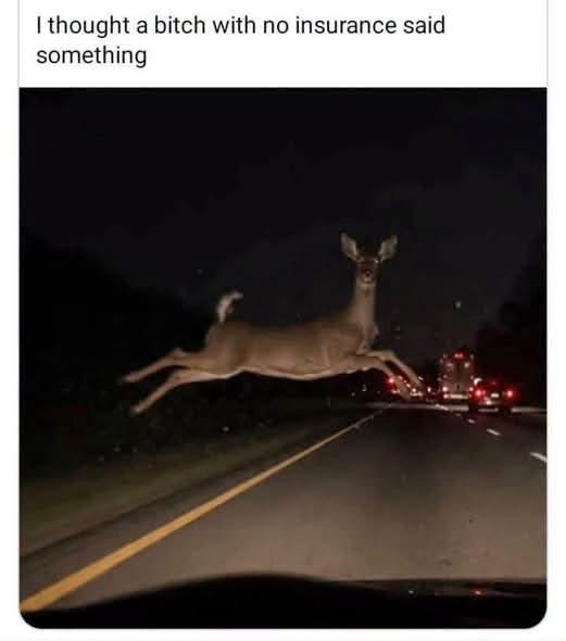 35 Extreme Dank Memes That Are Too Dark for Daylight 36 With no insurance