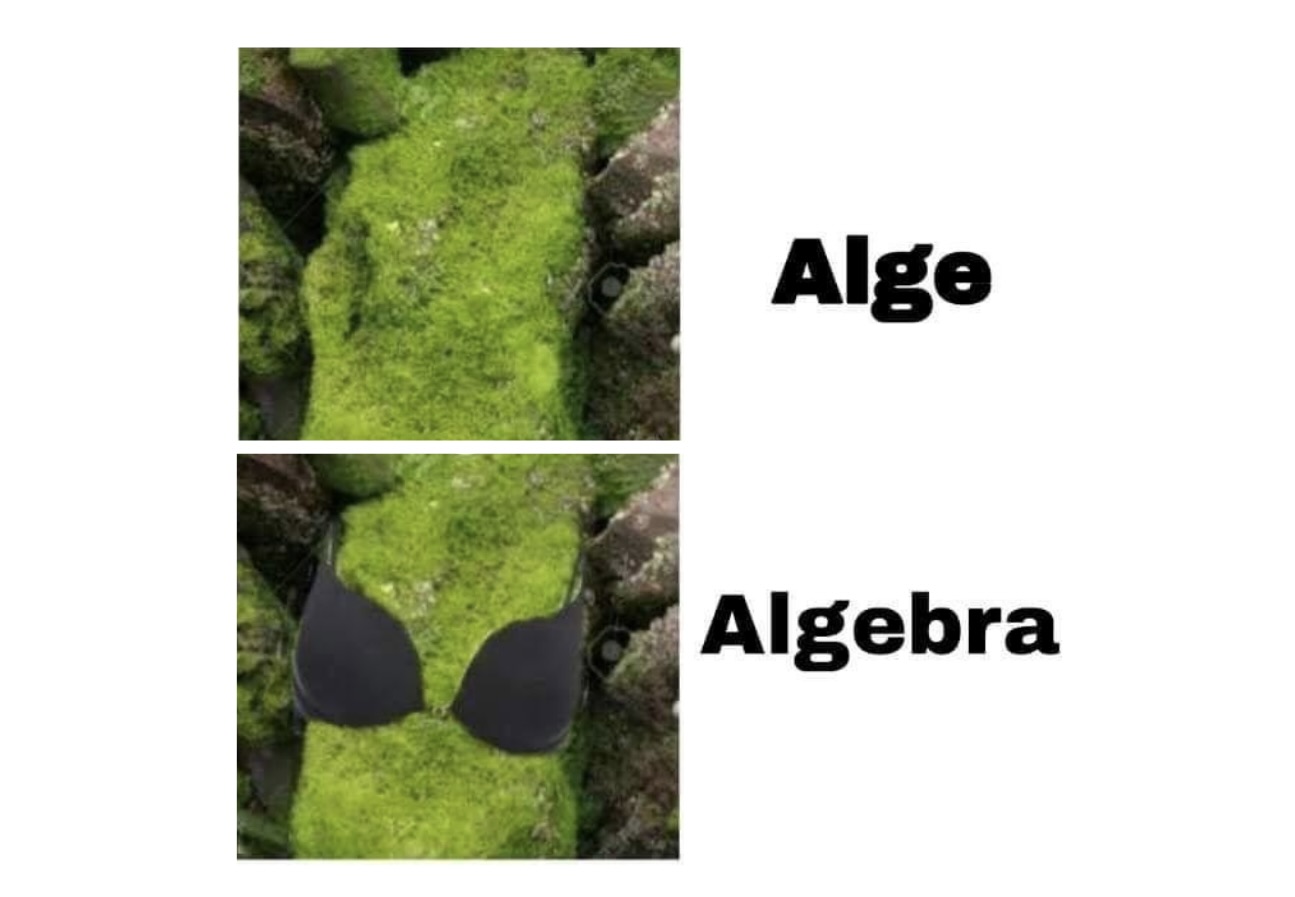 Witty Pun Memes That Smuggle a Pun-ch in Every Syllable - FG