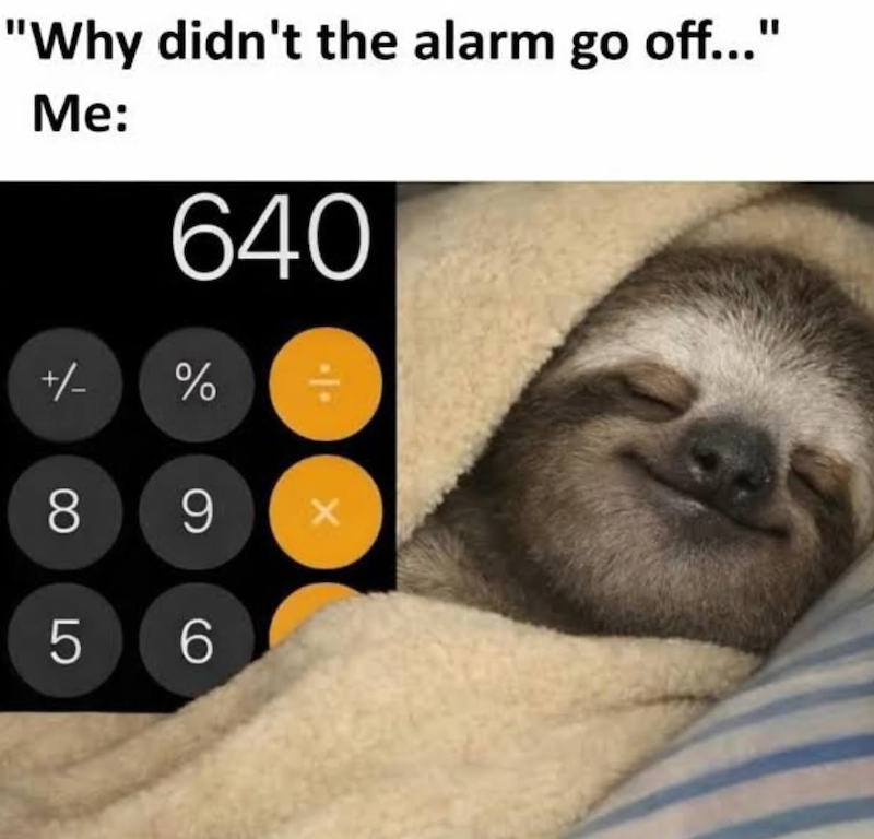 30 Sloth Memes to Help You Take It Slow on International Sloth Day 28 alarm didnt go off