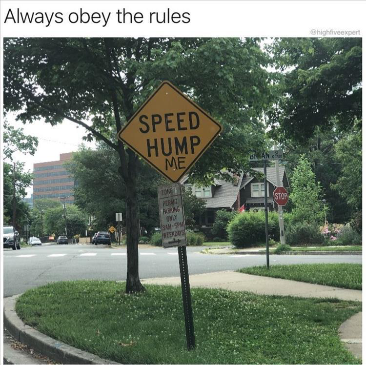 40 Unpredictable and Gut-Busting Gags 37 always obey me