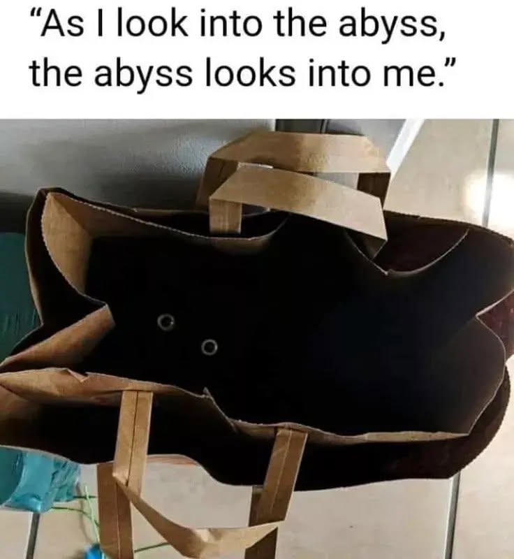 45 Black Cat Memes That Exorcise Bad Luck and Summon Endless Laughter 43 as I look into abyss