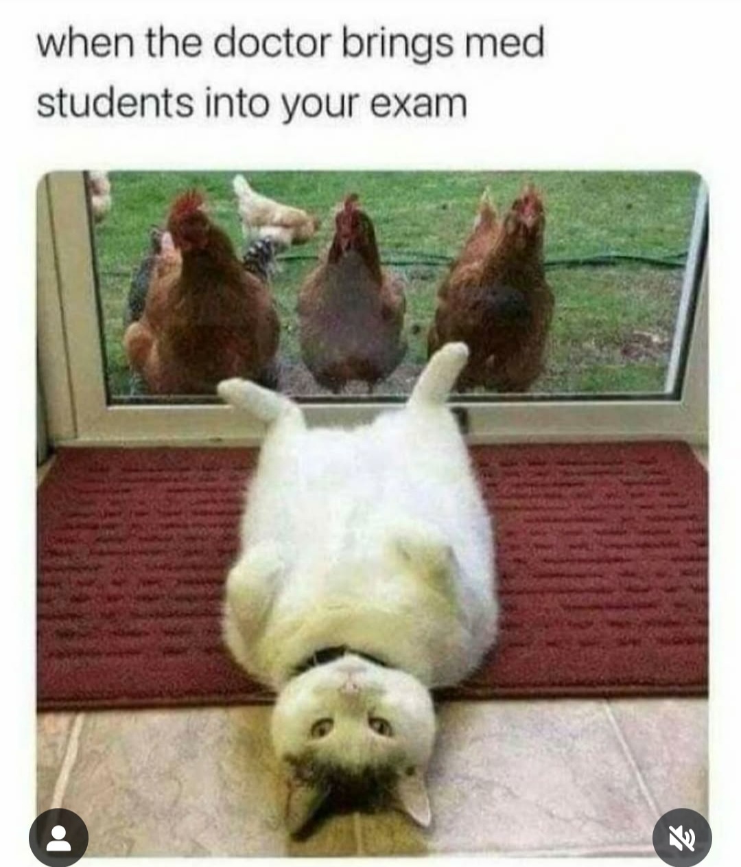 30 Meme That Woke Up And Decided Randomness Was Underrated 30 bring med students