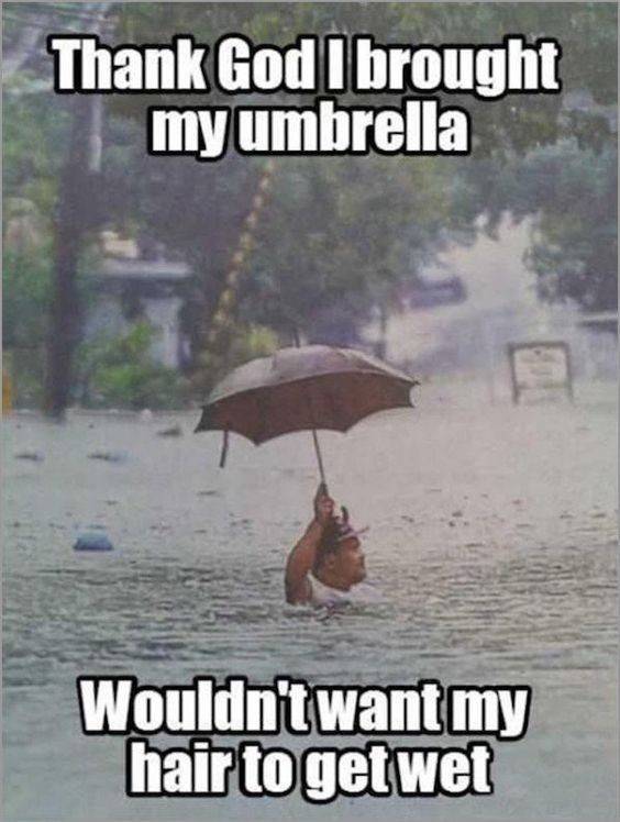 20 Memes That Defy Logic, Taste, and Conventional Humor 4 brought my umbrella