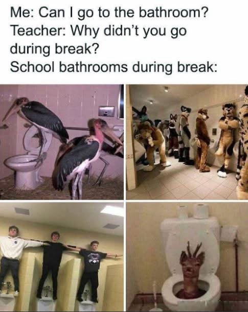 can I go to bathrrom