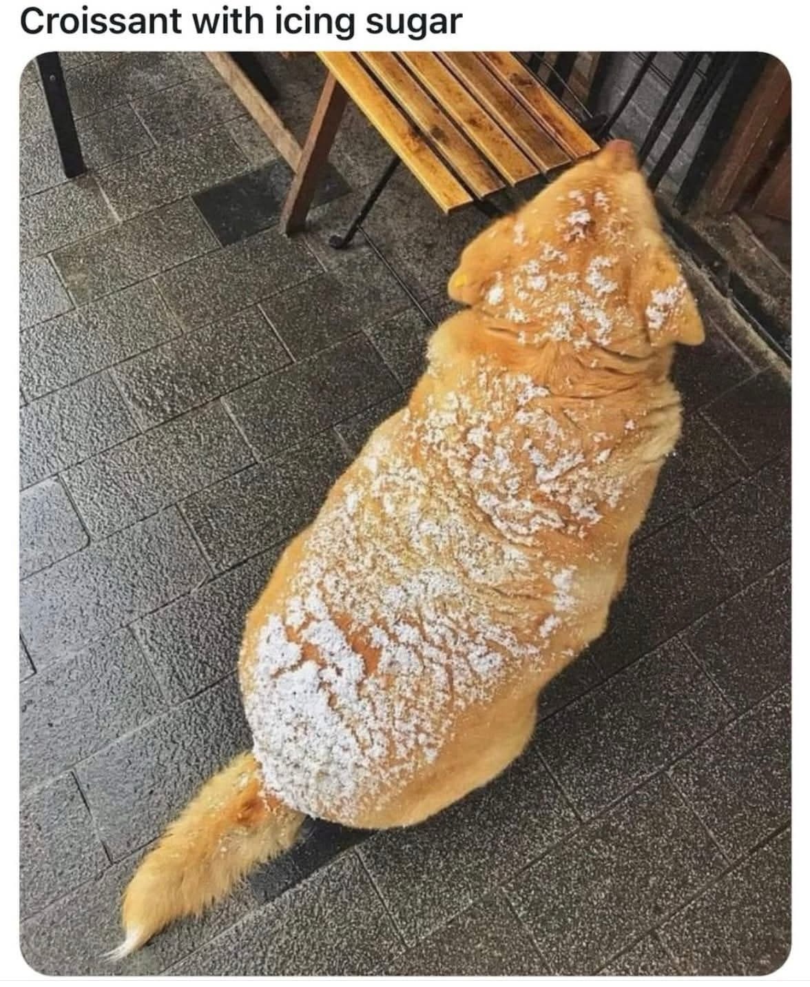 croissant with icing