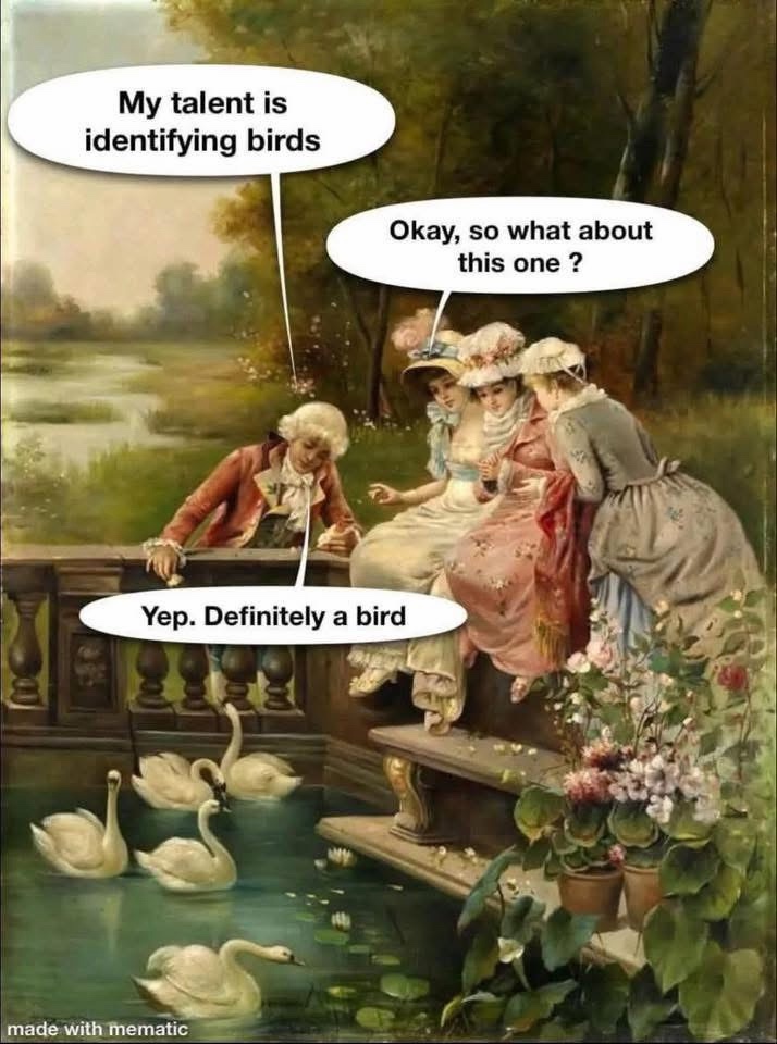 20 Memes That Are Half Art, Half Chaos, All Confusion 2 definately a bird
