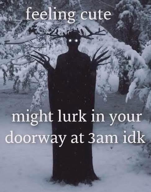 20 Memes So Random They Accidentally Made Sense 3 feeling cute