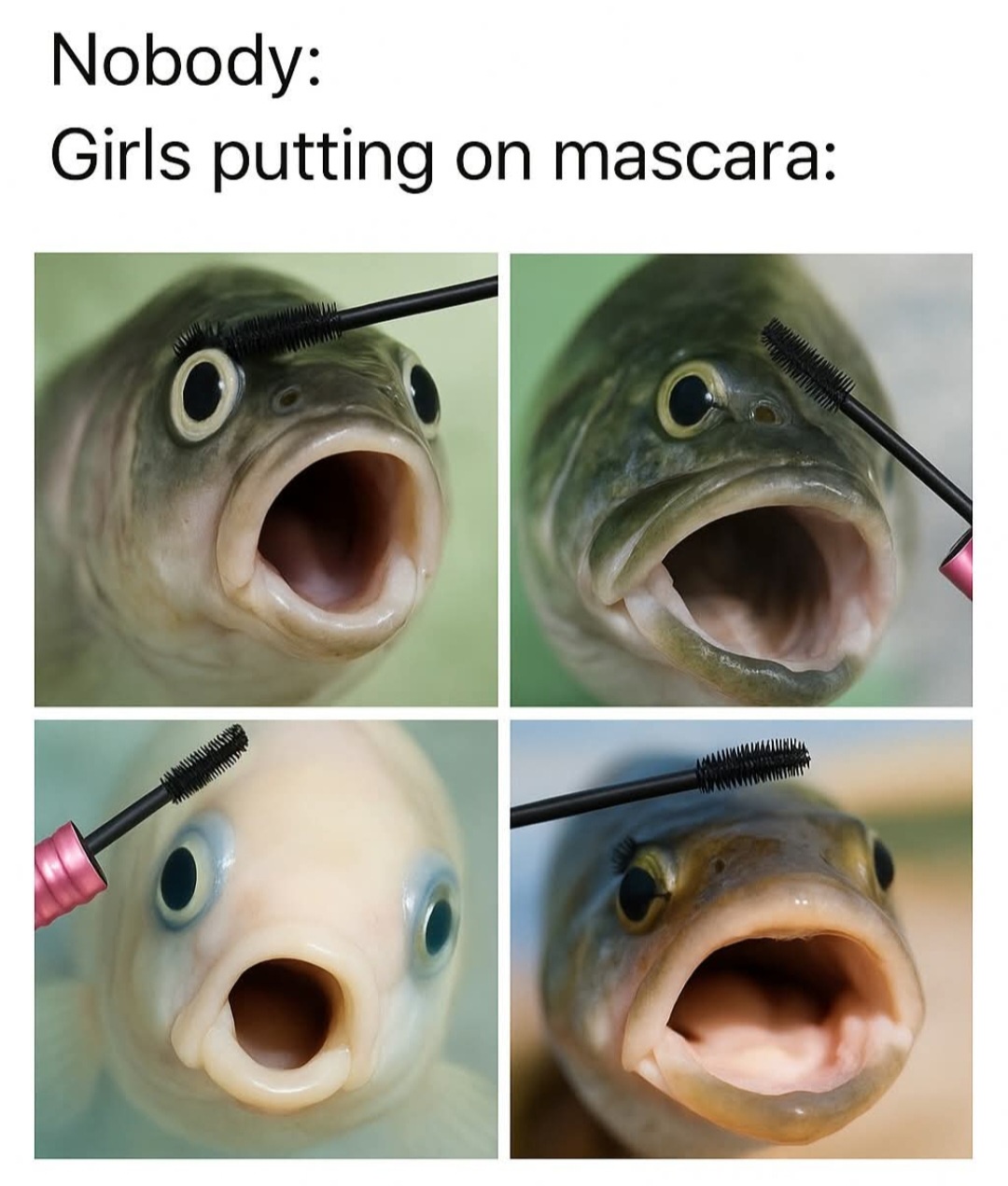 20 Memes That Are Funny and Wildly Random 1 girls putting mascara