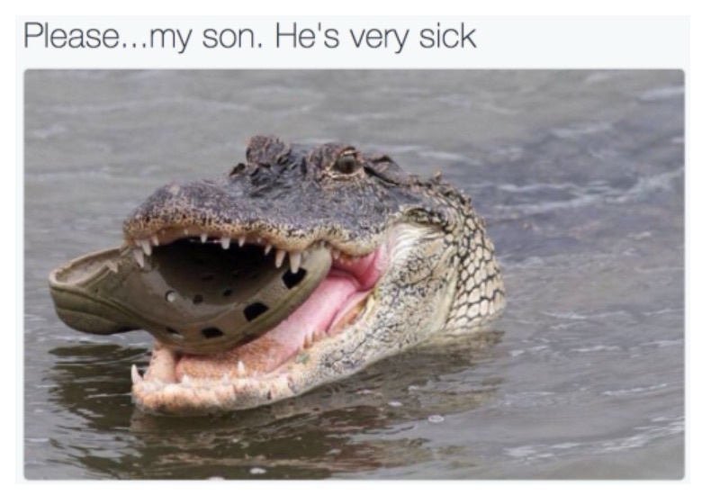 20 Memes That Make Sense Only If You’ve Fully Lost It 9 hes very sick