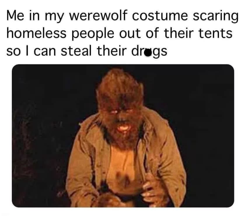 30 Memes So Funny, You’ll Forget Your Troubles (Temporarily) 30 me in warewold costume