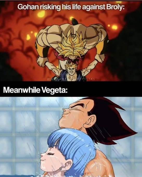 25 Dragon Ball Z Memes That Go Super Saiyan on Humor 13 meanwhile vegeta