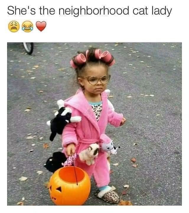 45 Hilarious Halloween Memes Possessed by Pure Nonsense 34 neighborhood cat lady