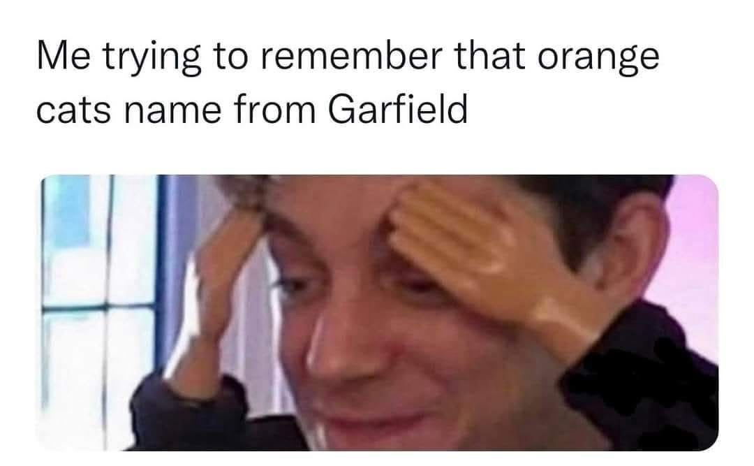orange cat from garfield
