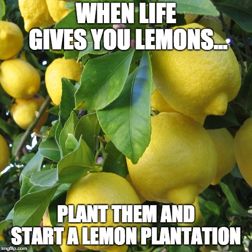 When Life Gives You Lemons, Make A Meme: 34 Memes to Cope with Adversity 34 plant them