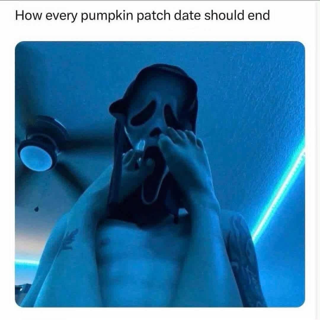 20 Memes So Random They Accidentally Made Sense 11 pumpkin patch date