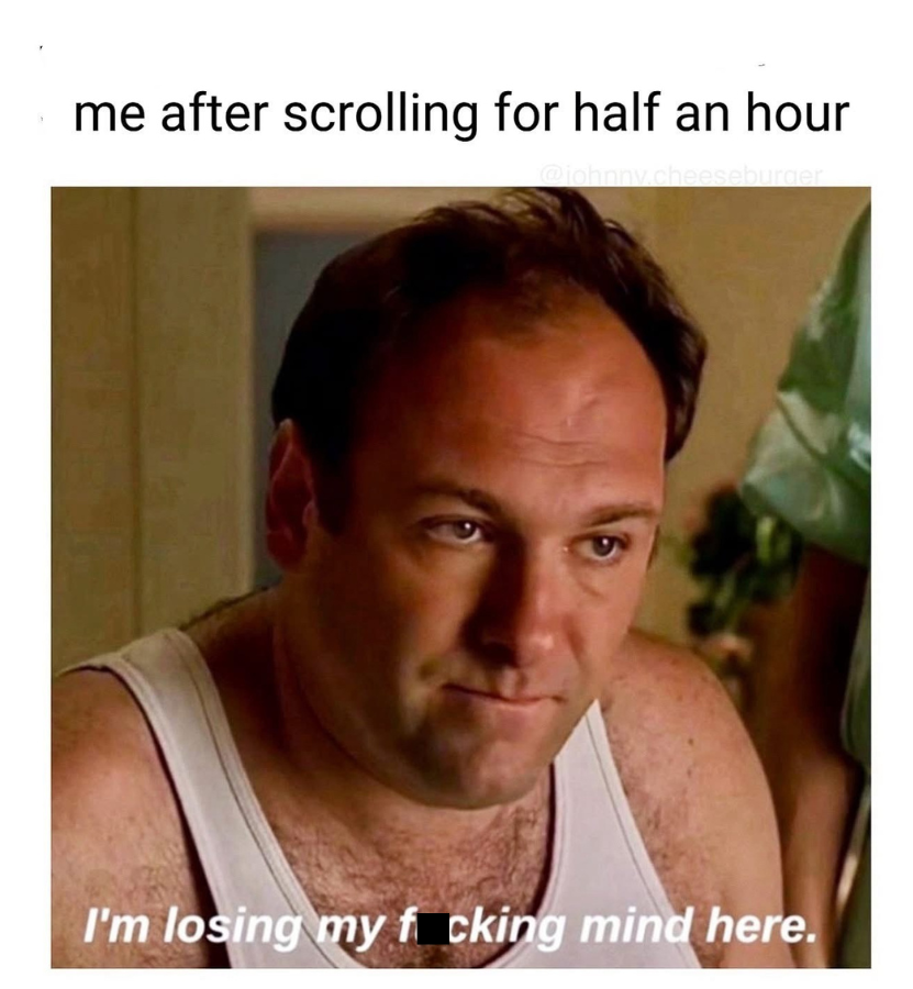 20 Memes So Random They Accidentally Made Sense 13 scrolling for half an hour