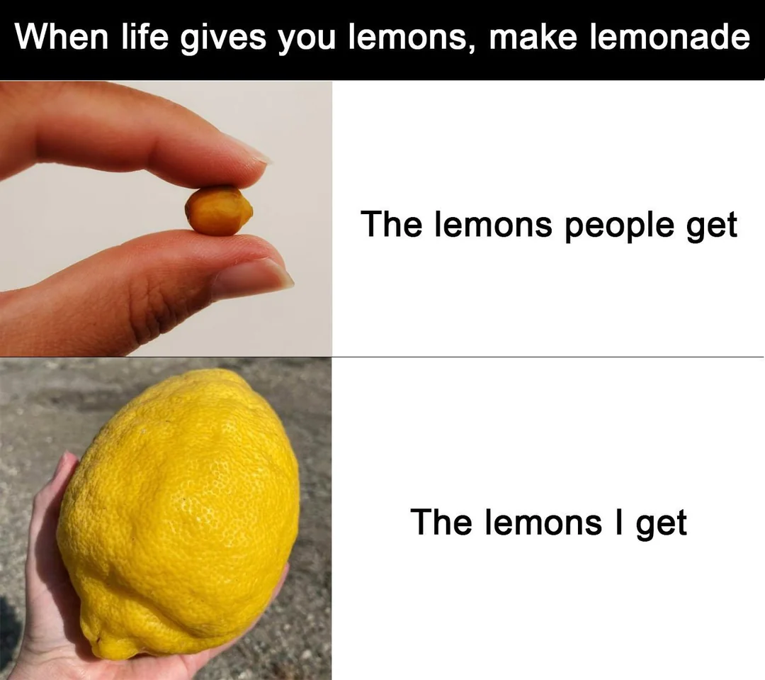 When Life Gives You Lemons, Make A Meme: 34 Memes to Cope with Adversity 35 show me your lemons