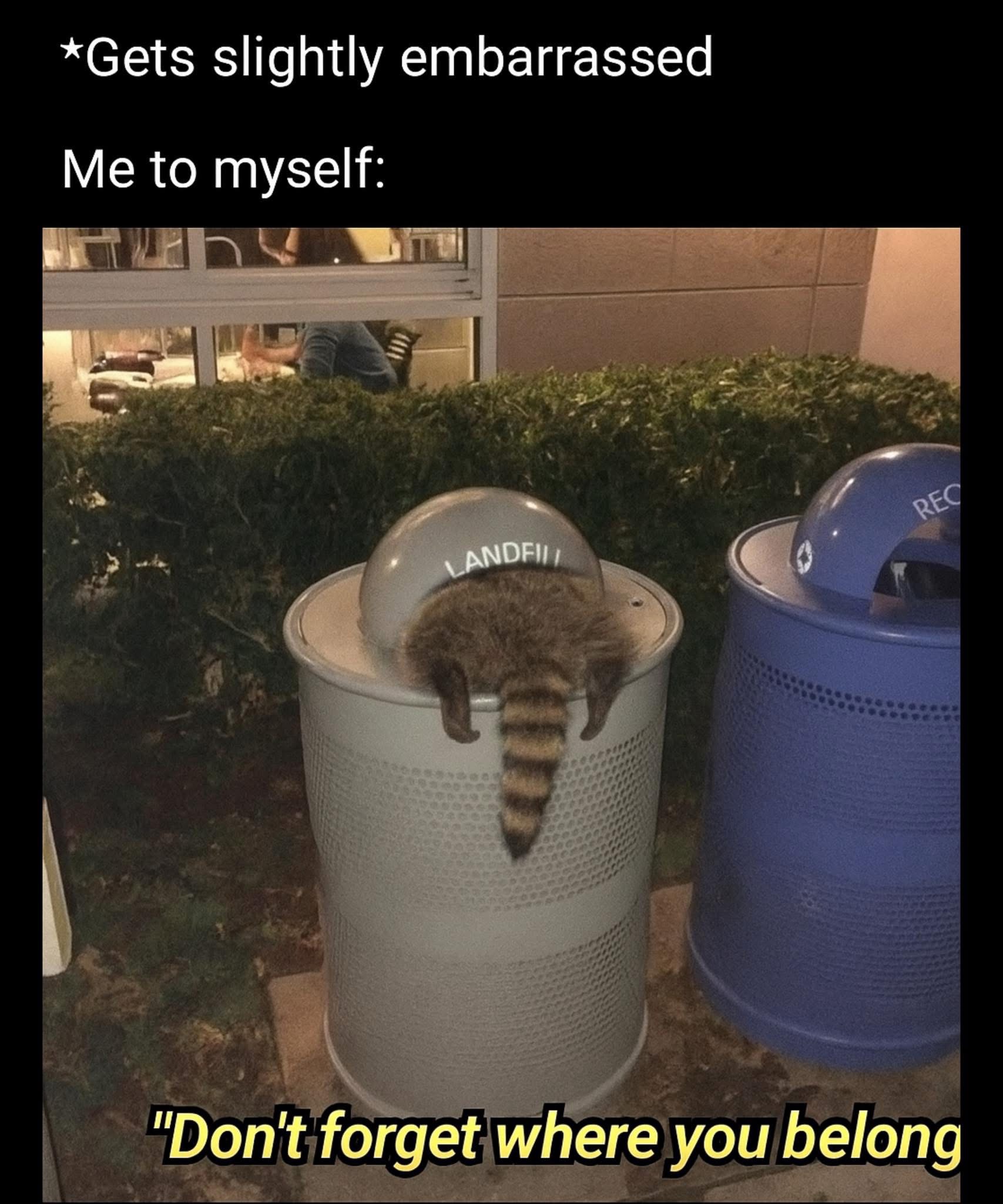 20 Memes That Make Sense Only If You’ve Fully Lost It 1 slightly embrassed