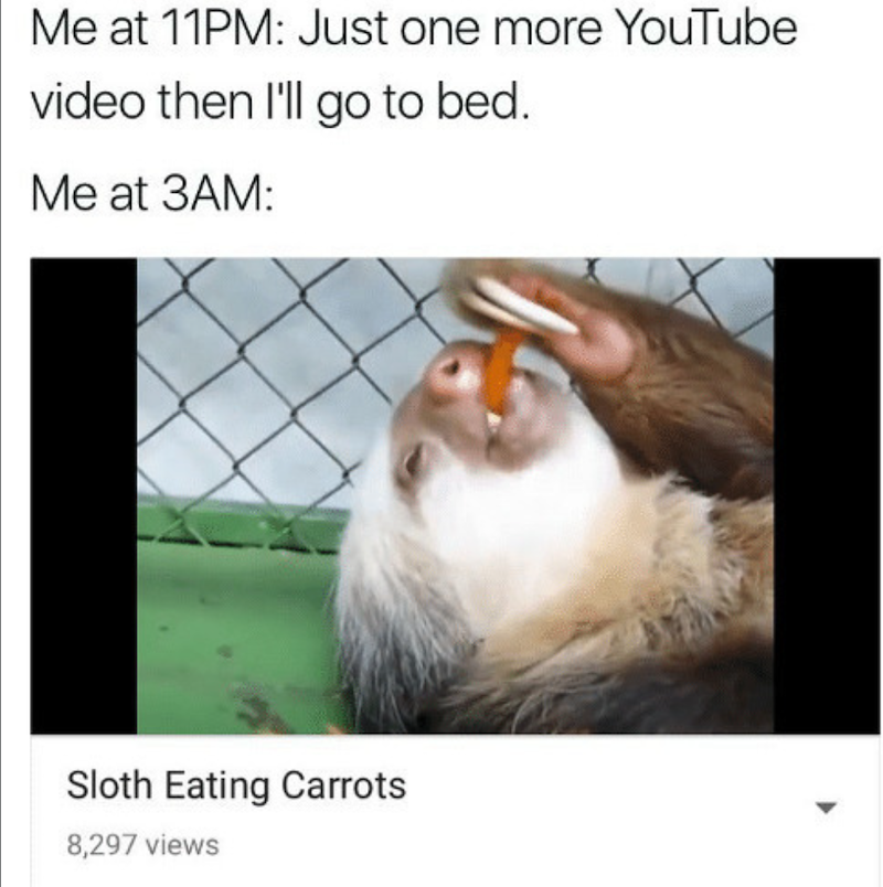 30 Sloth Memes to Help You Take It Slow on International Sloth Day 29 sloth eating carrots