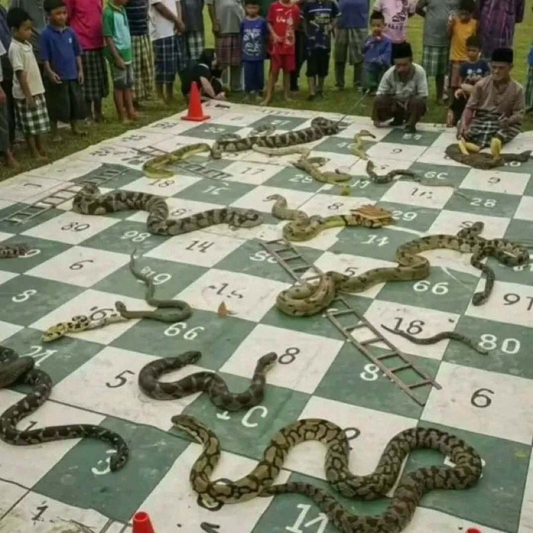 snake and ladder