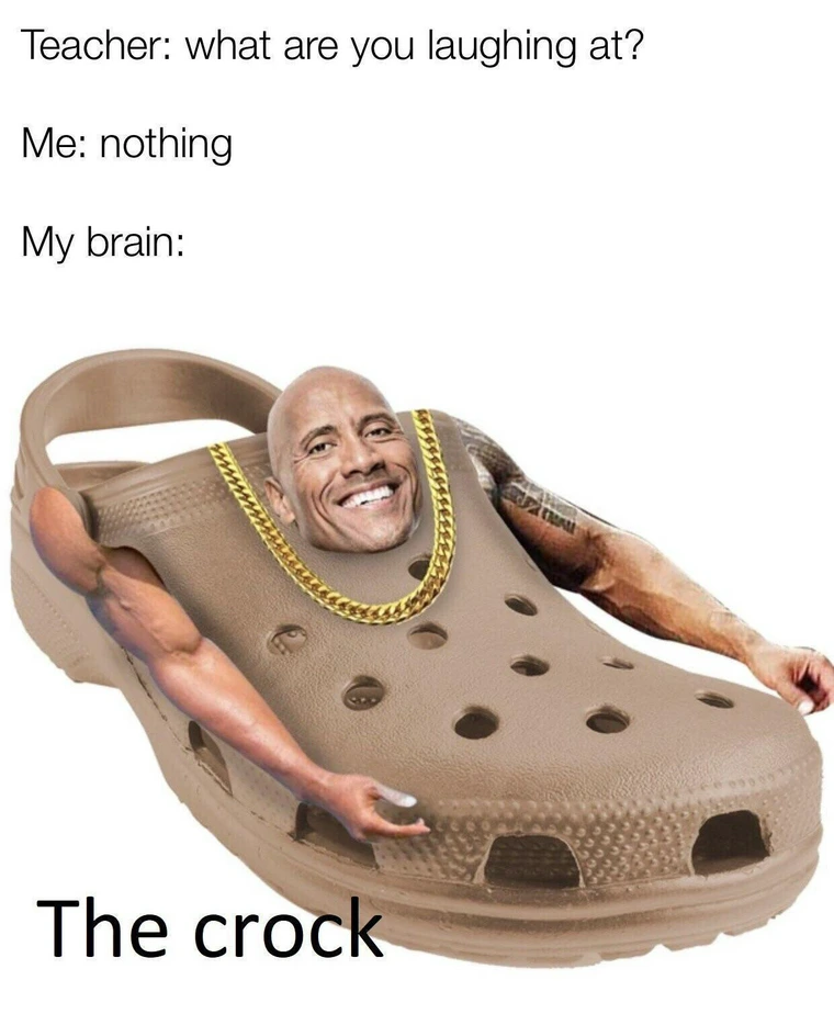 20 Memes That Make Sense Only If You’ve Fully Lost It 15 the crock