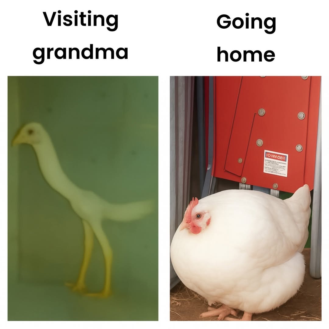 visiting grandma