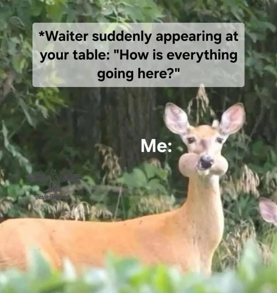 30 Meme That Woke Up And Decided Randomness Was Underrated 29 waiter suddenly appearing