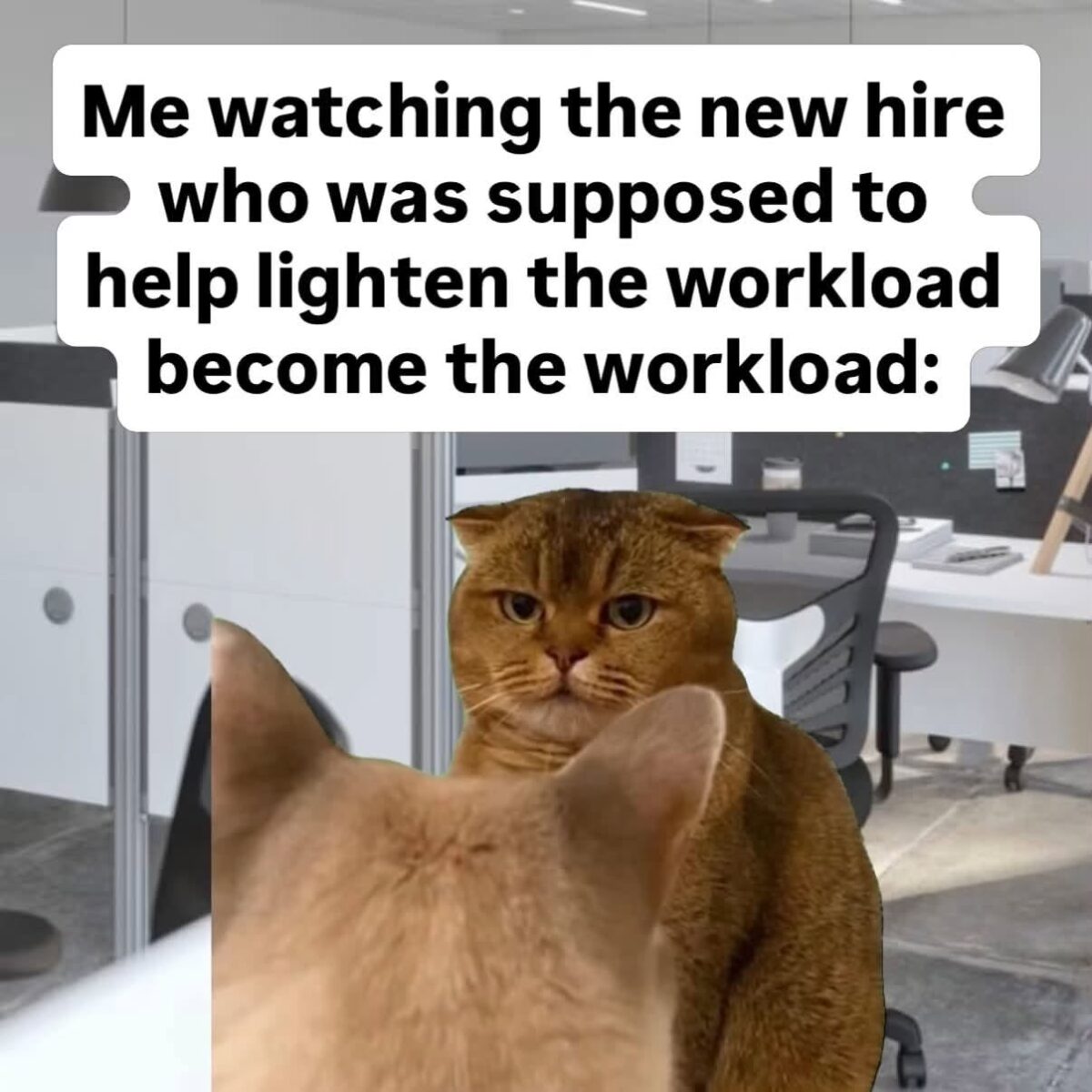 40 Work Memes That Will Help You Survive The 9-5 Grind 41 watching the new hire