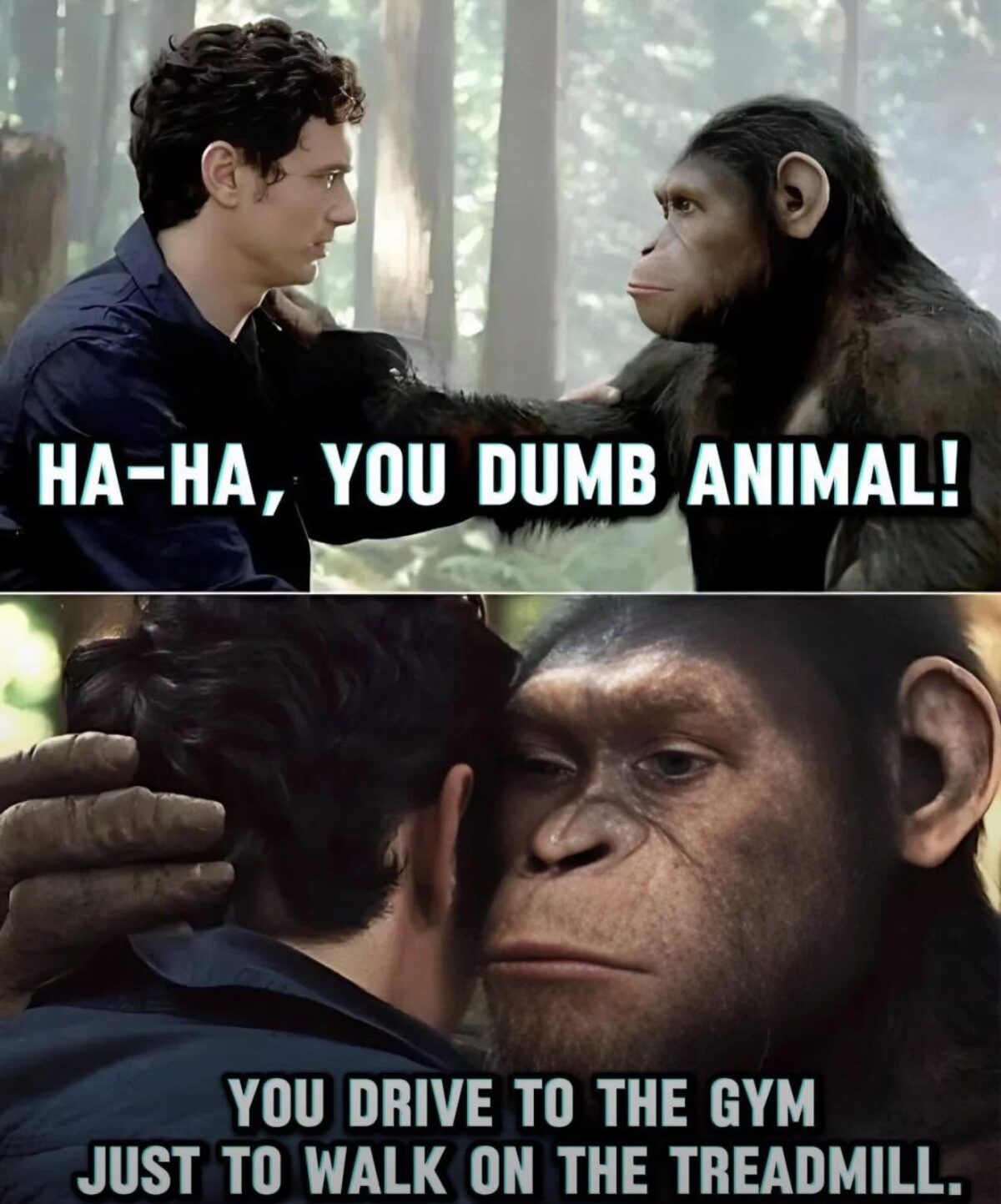 35 Extreme Dank Memes That Are Too Dark for Daylight 37 you dumb animal
