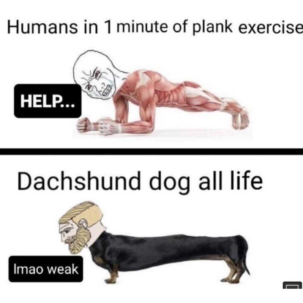 1 minute of plank