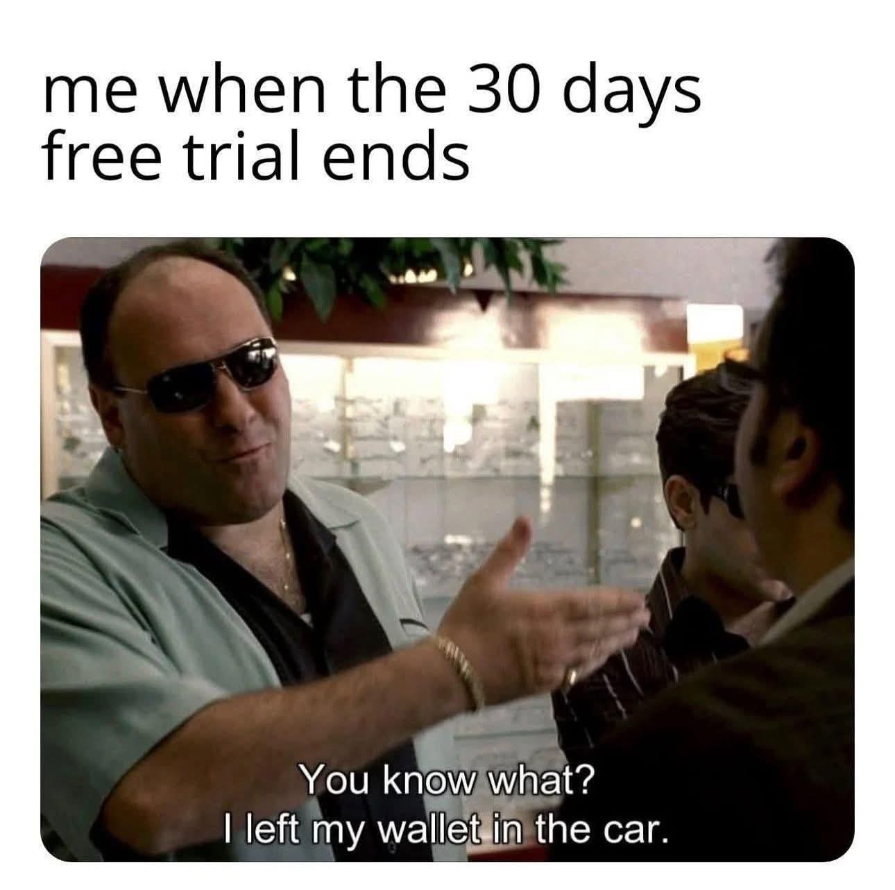 30 day free trial ends