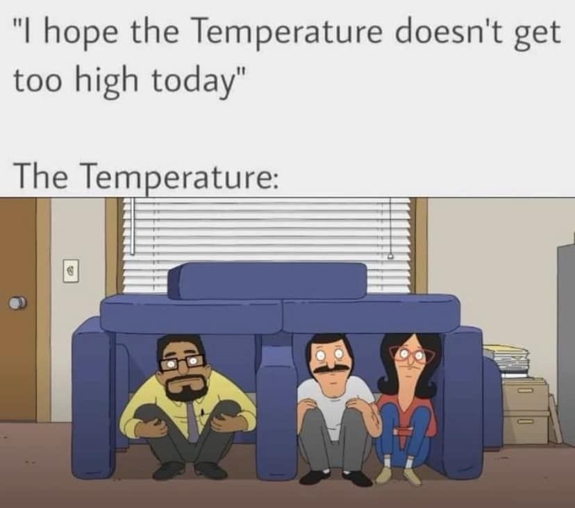 20 Memes So Illogical You’ll Laugh Before You Think 1 Temperature is high today
