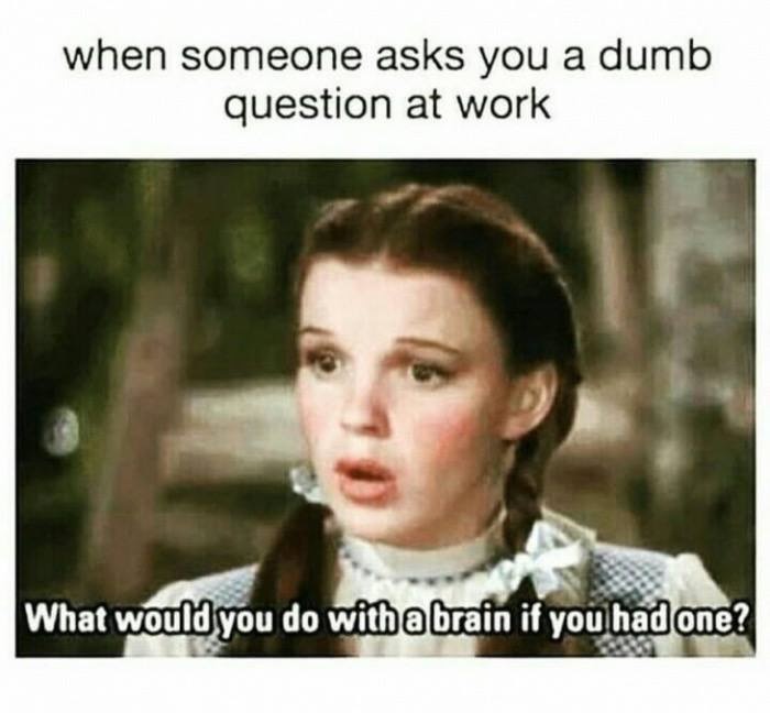 Ask you a dum question