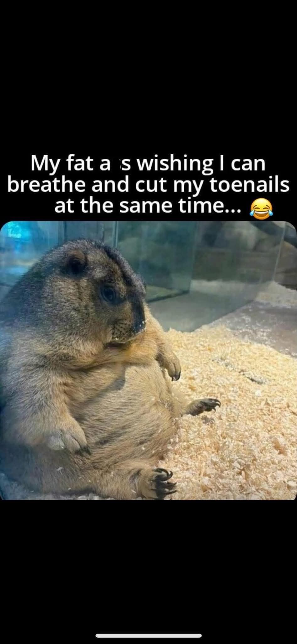 Breath and cut my nails