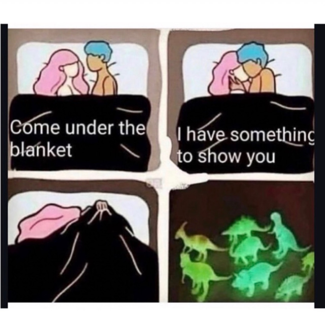 20 Memes That Have No Chill and Even Less Logic 4 Come under the blanket