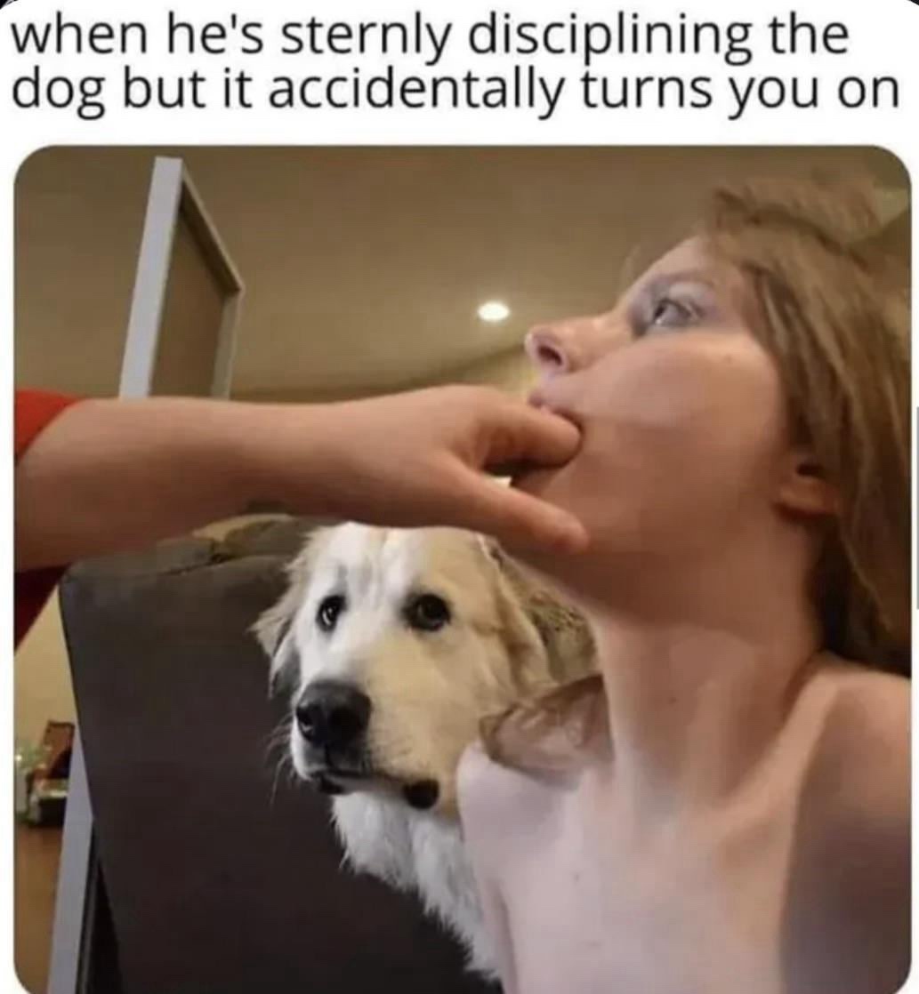 20 Memes That Are Basically a Buffet of Confusion and Laughter 1 Disciplining the dog