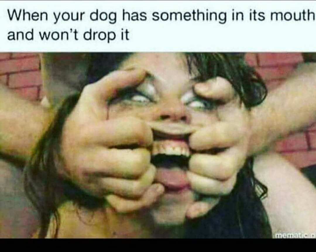 20 Random Memes Straight Outta Nowhere 3 Do has something