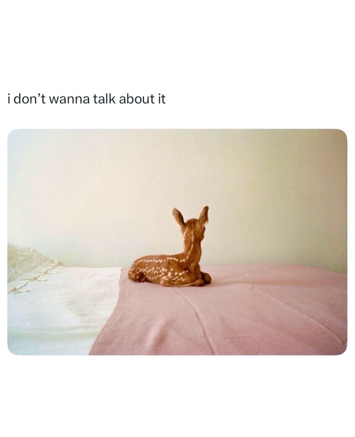 25 Memes That Are a Little Nuts and a Lot Hilarious 23 Dont wanna talk