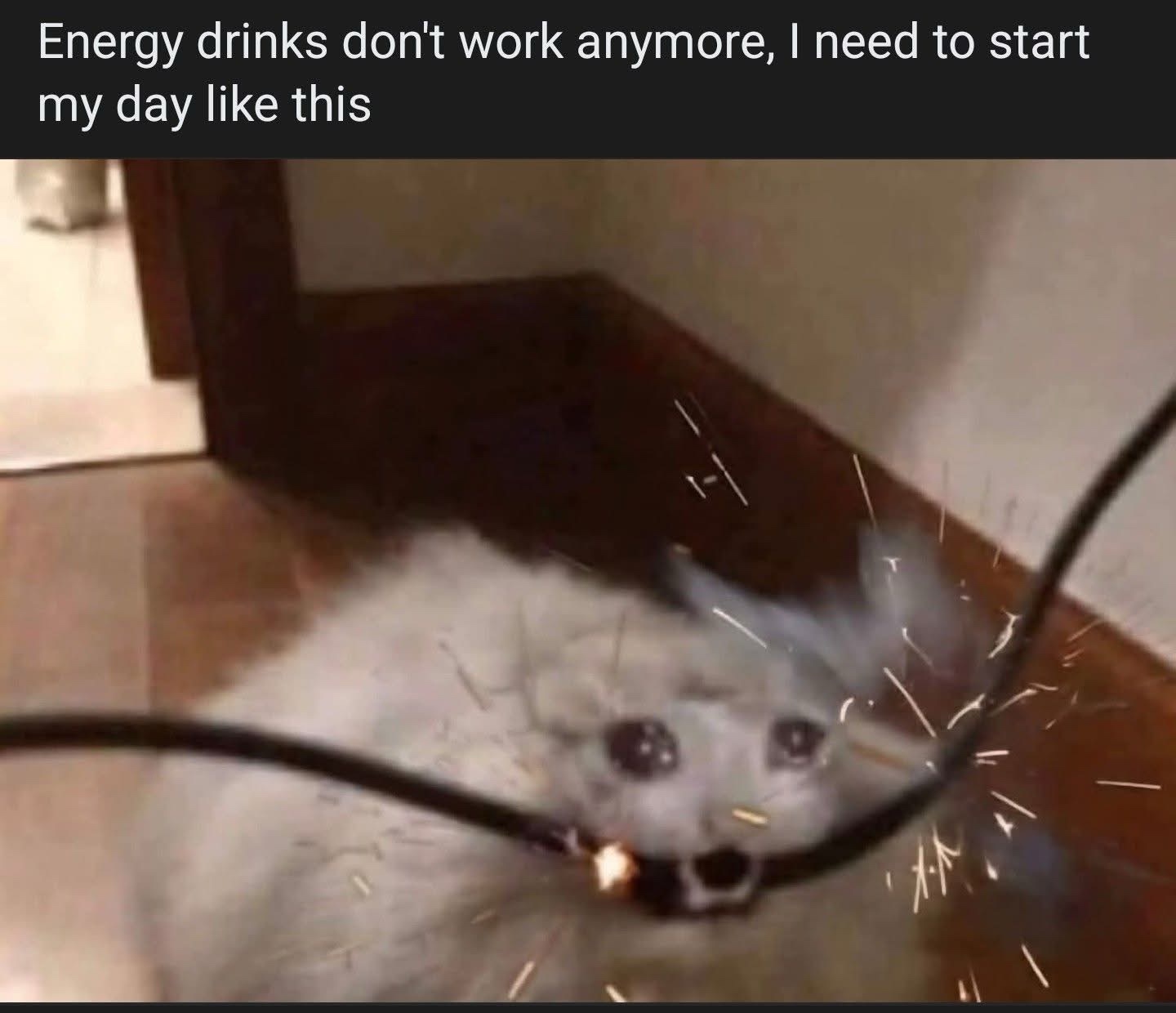 20 Damn Funny Memes That Made Common Sense Pack Its Bags 5 Energy drinks dont work